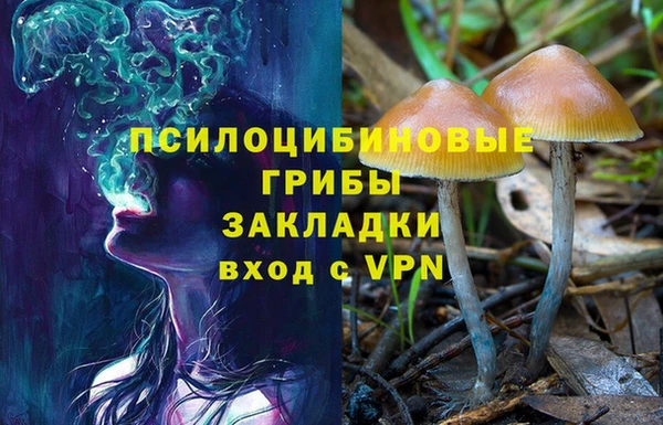 каннабис Ельня