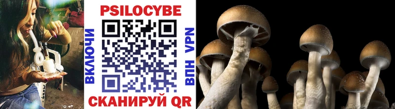 Псилоцибиновые грибы мицелий  Бузулук 
