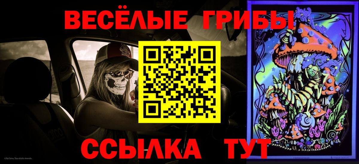 Галлюциногенные грибы мухоморы Бузулук