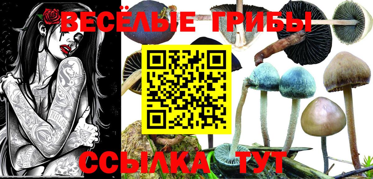 Псилоцибиновые грибы Psilocybe  Бузулук  купить закладку  Галлюциногенные грибы GOLDEN TEACHER 