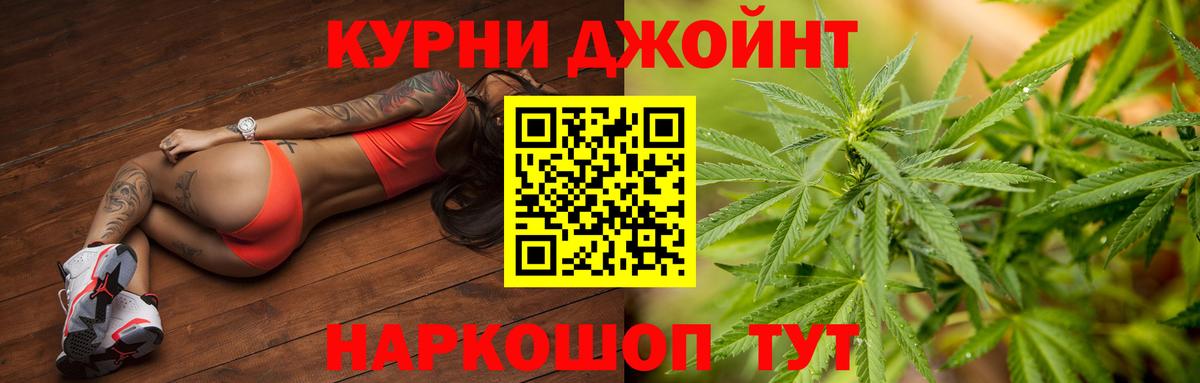 Шишки марихуана семена  Марихуана планчик  Бузулук 